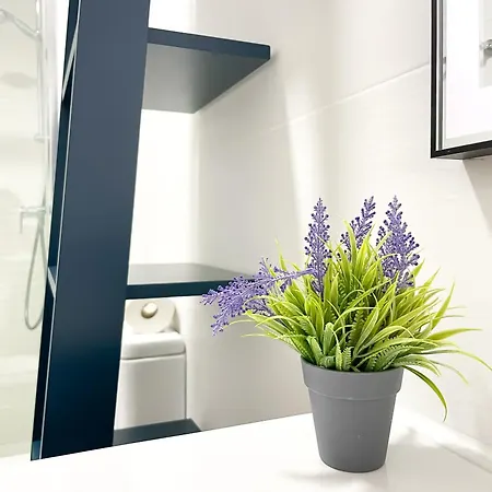 Apartament Loft Anzuelo
