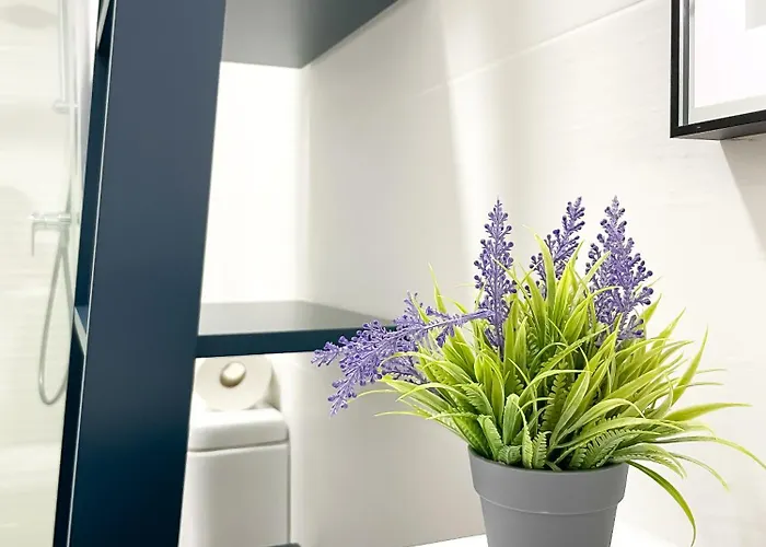 Апартаменты Urban Loft Anzuelo