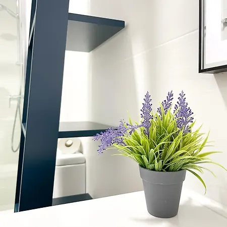 Apartment Urban Loft Anzuelo